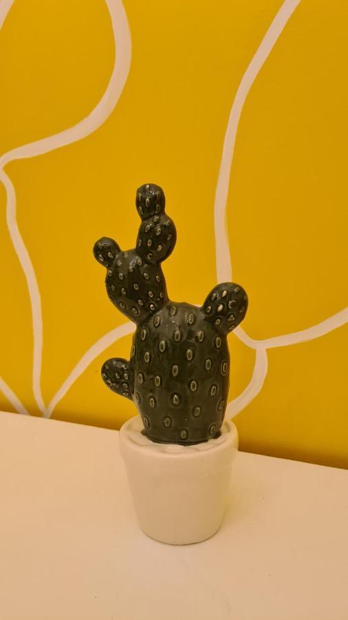 Casa Cactus Sapiddu Lejlighed Palermo Eksteriør billede